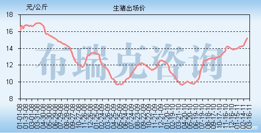 最新猪价UC报价消息概览