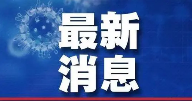 信和汇金最新消息全面深度解析