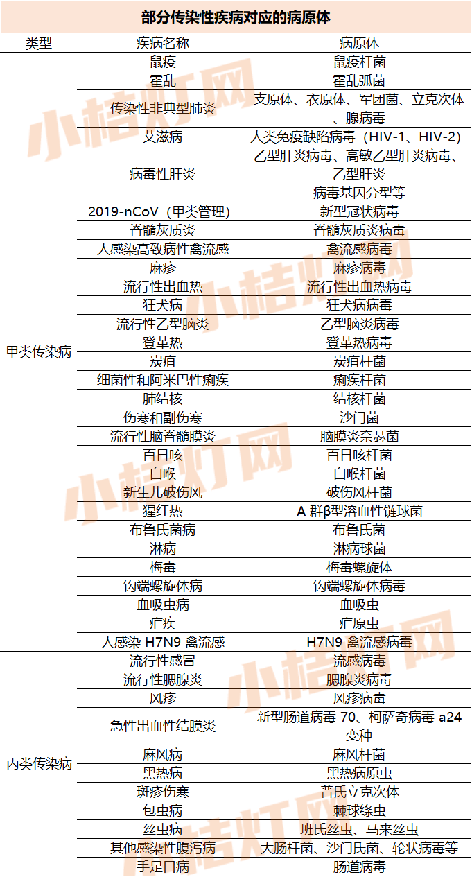 7777788888精准新传真,广泛的关注解释落实热议_钻石版1.015