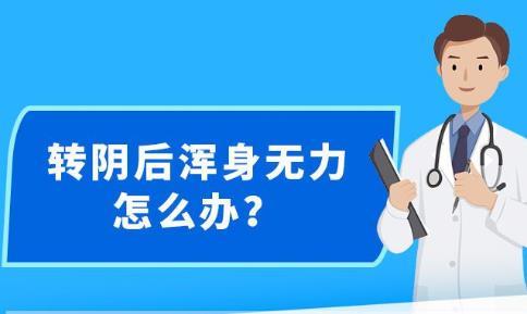 新澳精准资料免费提供最新版,决策资料解释落实_2DM26.50.79