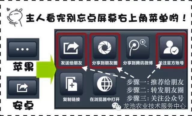 新门内部资料精准大全,高效实施方法解析_专业版870.107