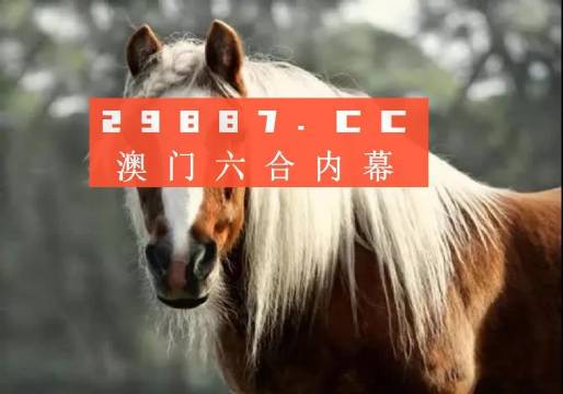 澳门今晚必中一肖一码准确9995,绝对经典解释落实_增强版8.517