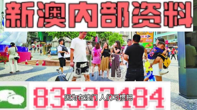 2024年新澳门免费资料,决策资料解释落实_影像版66.792