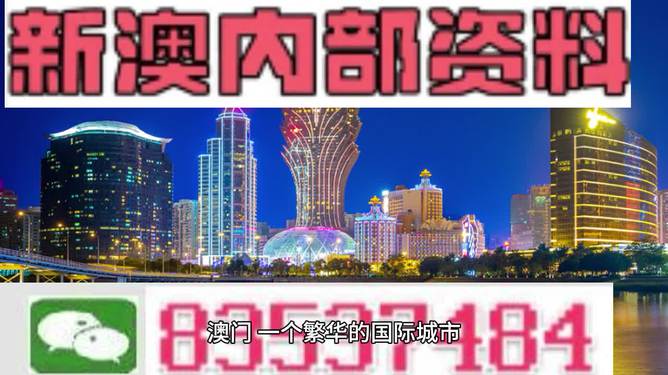 新澳2024年精准一肖一,效率资料解释落实_升级版9.135