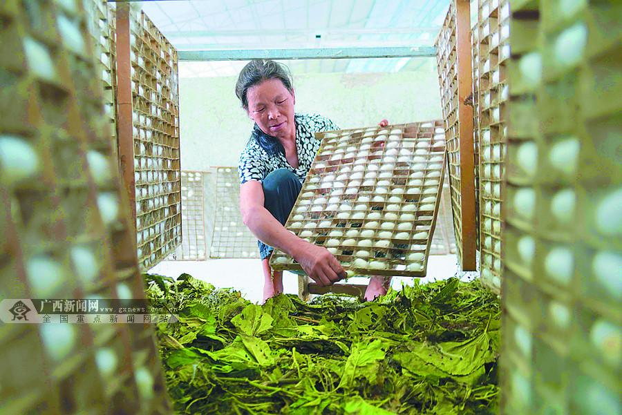 顺德陈村最新消息，繁荣与发展并进的社区风采展示