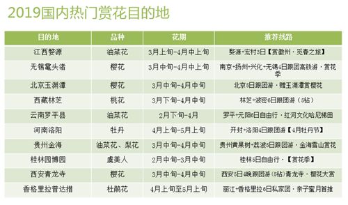 新奥门全年免费料,最新热门解答落实_精简版104.330