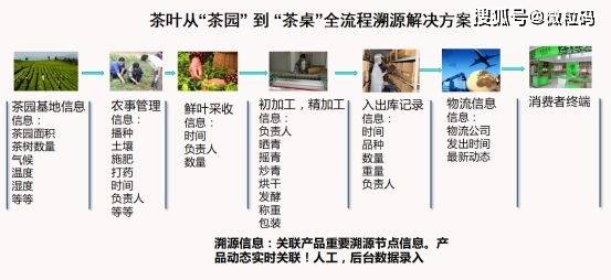 澳门一码一肖一特一中,广泛的解释落实支持计划_精英版301.135