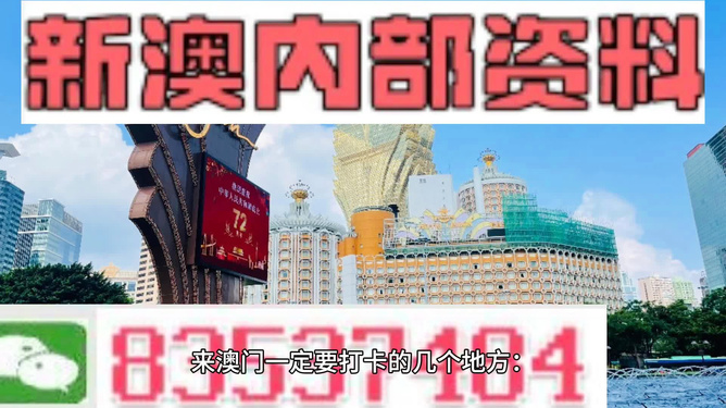 2024澳门今晚开特,效率资料解释落实_游戏版346.175