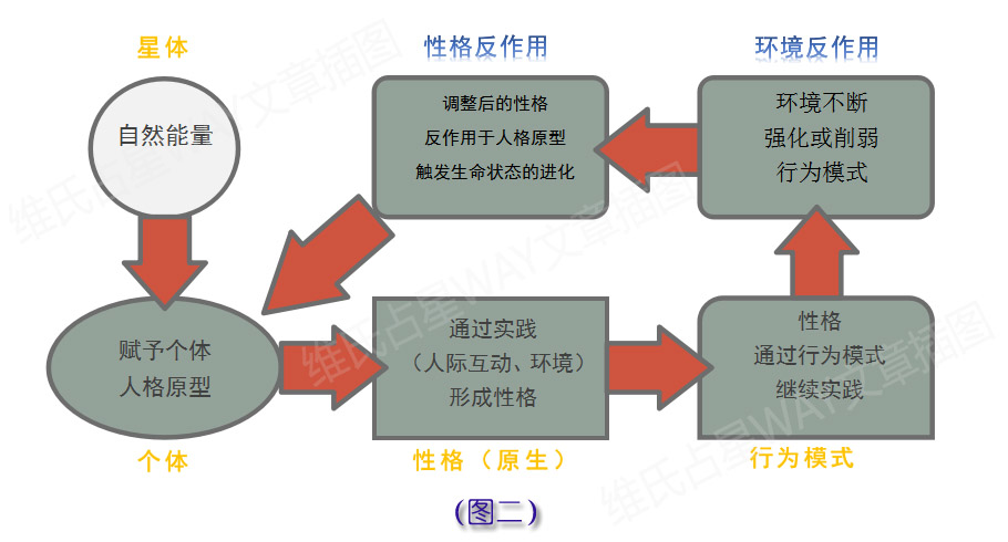 新奥天天免费资料单双中特,完善的执行机制解析_豪华版6.35