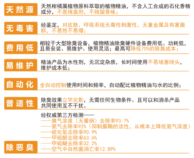 2024新澳资料大全,结构解答解释落实_5D50.21.81