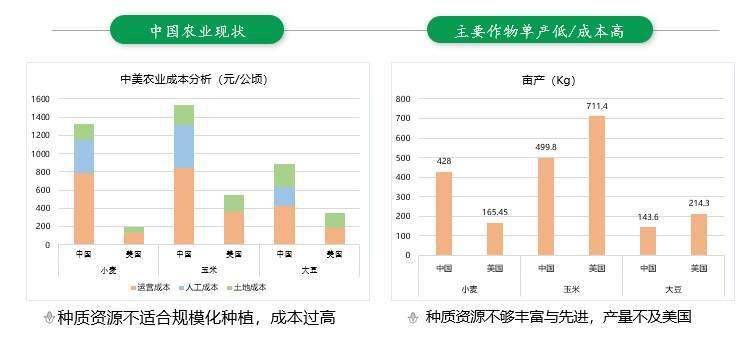 新澳彩资料免费资料大全,数据驱动执行方案_精简版104.330