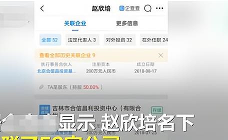 2024澳彩管家婆资料传真,专业解析说明_WP32.516