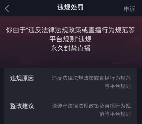 澳门必中三肖三码凤凰网直播,专家解答解释定义_Max68.59