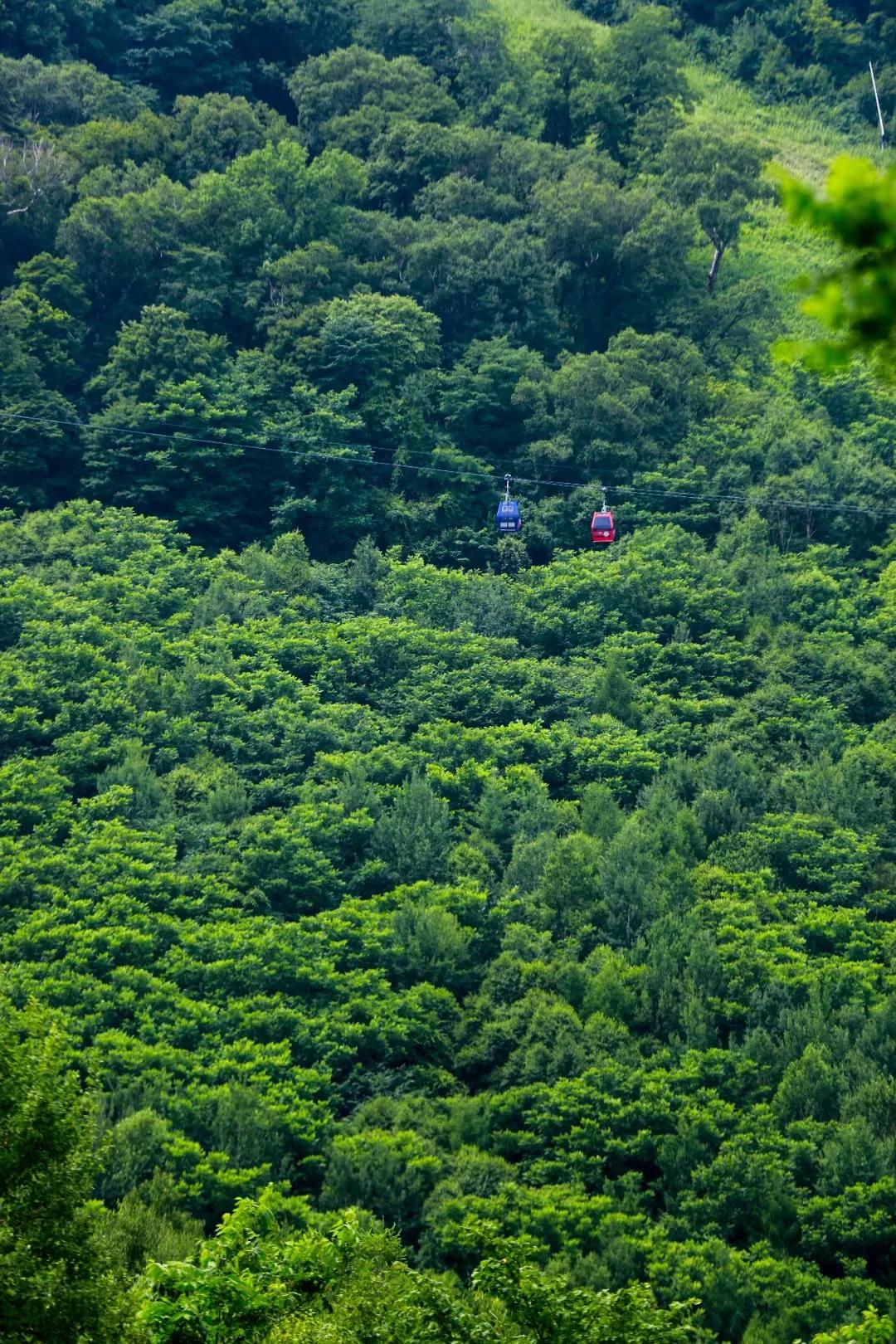 长白山景区最新新闻