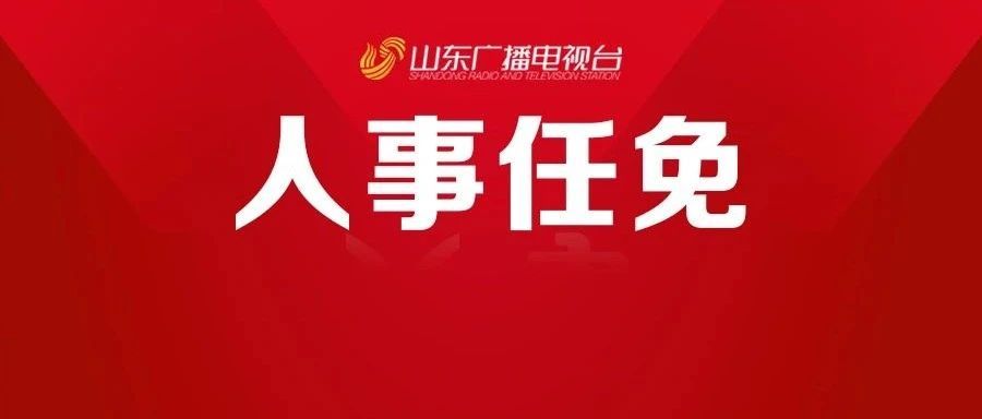 山东省委发布最新任免通知，推动新时代发展的力量源泉启航前行