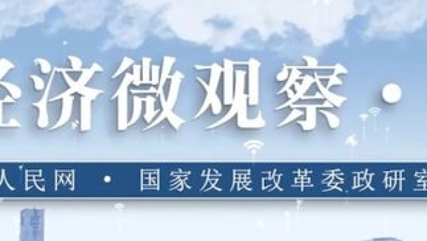 2024年11月7日 第29页