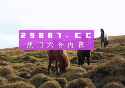 澳门4949开奖现场直播+开,安全设计解析_豪华版68.829