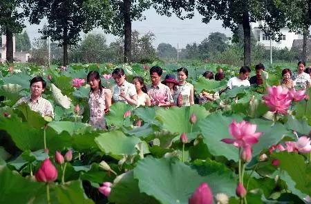 芜湖早映发展最新动态，繁荣新篇章正书写中