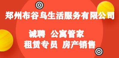 郑州招聘网最新动态深度解析，求职招聘趋势一网打尽