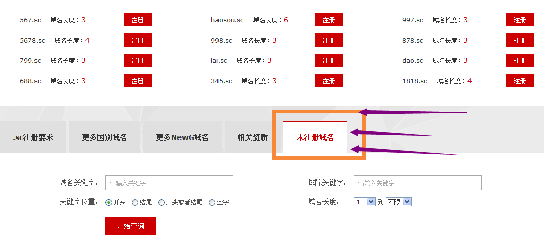 CSCS66最新域名，前沿科技与卓越服务的交汇探索