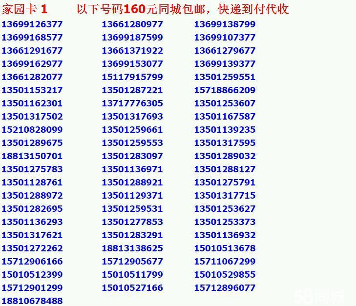 2024年12月22日 第9页