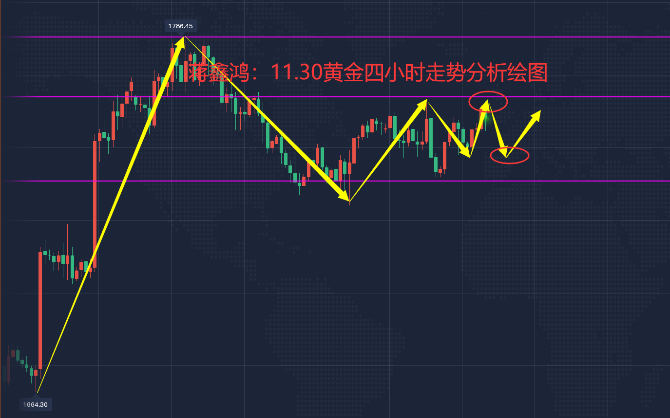 黄金现货最新走势分析，市场动向揭秘与未来展望