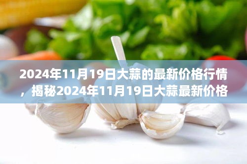 大蒜最新行情价格走势深度解析