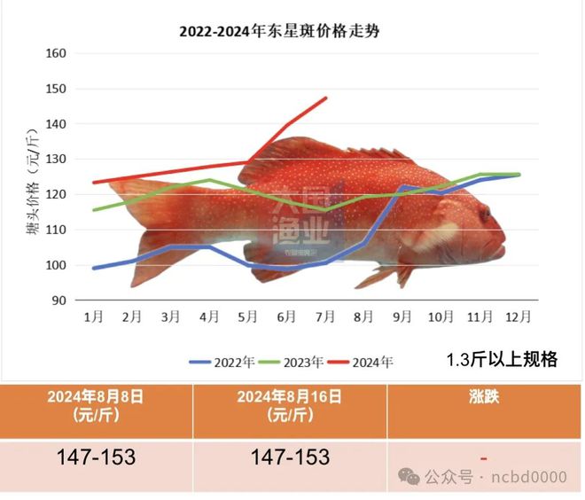 海南珍珠龙胆最新报价及市场走势深度解析