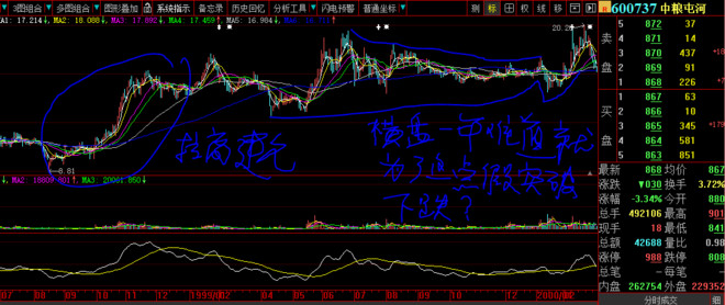 鲜干货 第6页